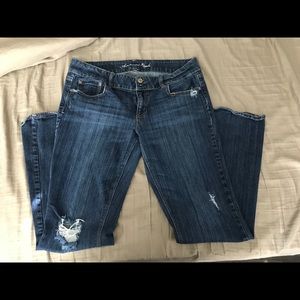 American Eagle - Artist